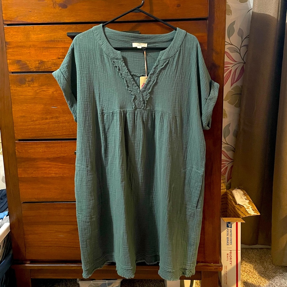 NWT Entro dress